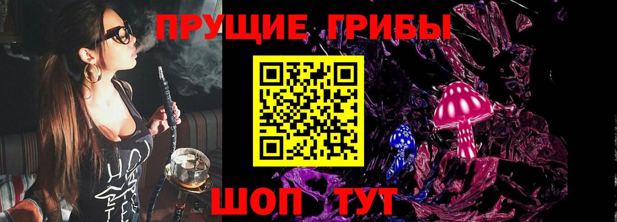 Псилоцибиновые грибы MAGIC MUSHROOMS  Псилоцибиновые грибы GOLDEN TEACHER  Вход с VPN  наркота  Берёзовский 